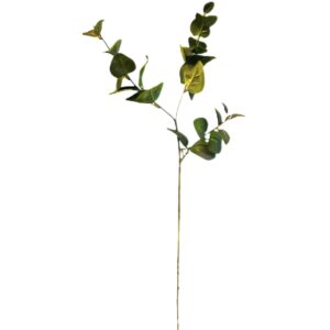 Eucalyptustak | 64 cm | groen