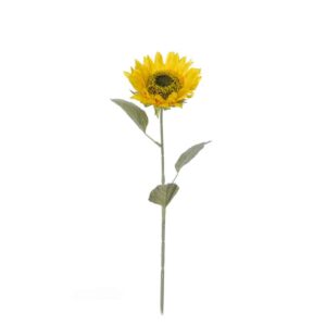Zonnebloem | 75 cm | geel