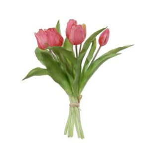 Tulpen | 30 cm | fuchsia roze | bosje van 7