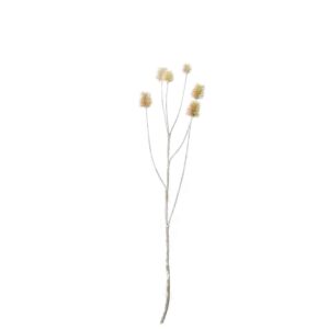 Kaardebol | 74 cm | roze-creme