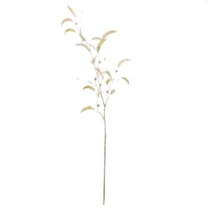 Eucalyptus met besjes | 100 cm | groen