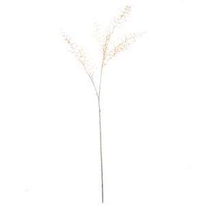 Sierasperge  |  127cm | oranje