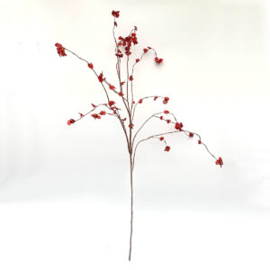 Orchidee (oncidium) | rood-bruin