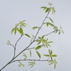 Bladtak | 148 cm | groen