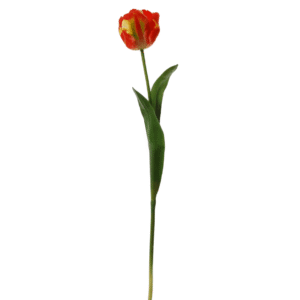 Tulp op een steel | 62cm | rood geel