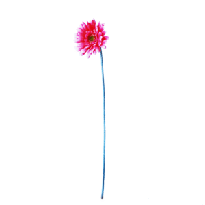 Gerbera | 56 cm | roze