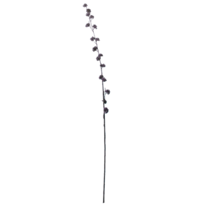 flowerdutchess-callicarpa-102cm-paars-tall