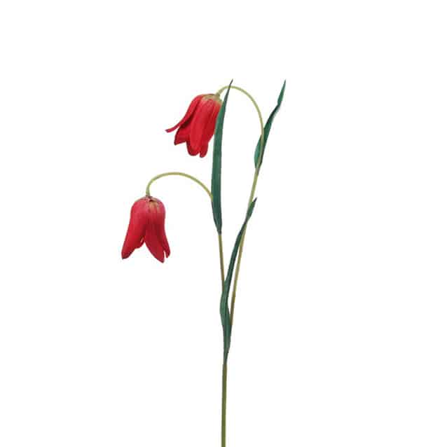 Observatie Incident, evenement Leed 2 hangende tulpen aan een steeltje | 42 cm | rood - FlowerDutchess.com