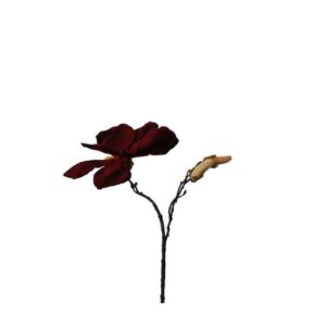 Magnolia takje | 26 cm | bordeaux | met een paar knoppen