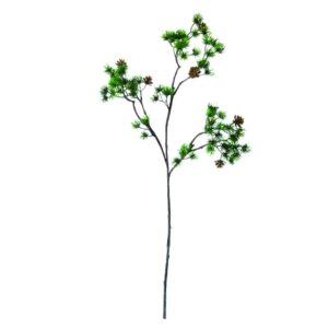 Lorkeboom tak met kleine denappeltjes | 70 cm