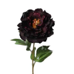 Pioenroos | diameter 15cm | 62 cm | donker bordeaux