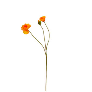 Klaproos | 3 klaprozen aan een takje  | 74 cm | oranje