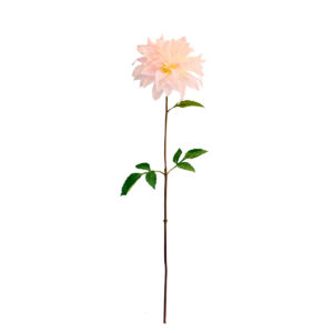 Dahlia | 73 cm | wit roze
