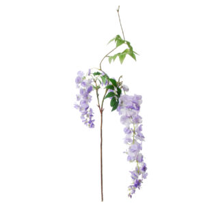 Blauwe regen | 100 cm | lavendel