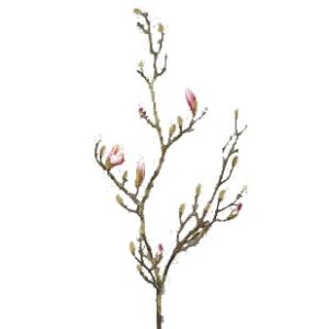 Lange Magnolia tak met knoppen en 6 bloemen | 145 cm | roze-creme