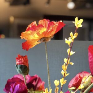 Forsythia | 76 cm | geel