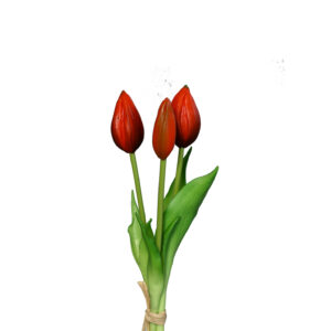 Tulpjes in een bosje van 3 | 24 cm | rood