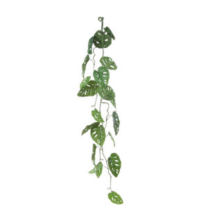 Monstera adansonii guirlande | 115 cm | groen