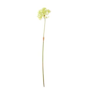 Allium tak | 82 cm | groen