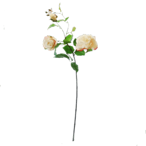 Roos | 90 cm | poederroze | tak met 2 rozen en knoppen