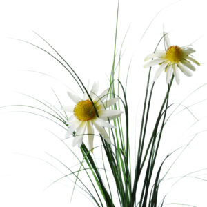 Echinacea | 92 cm | wit | 2 bloemen en siergras