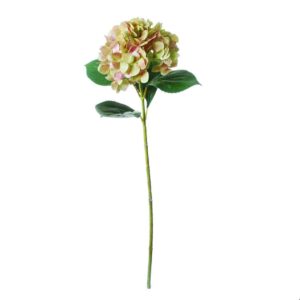 Hortensia | 67 cm | groen-roze