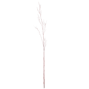 Cornus tak | 130 cm | rood