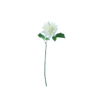 Dahlia | 48 cm | wit