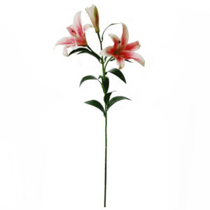 Lelie | 88 cm | roze wit | tak met 2 lelies en 1 knop