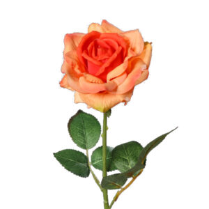 Roos | real touch | 68 cm | oranje
