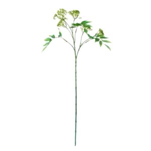 Tak met sering-achtige knopjes | 75 cm | wit-groen