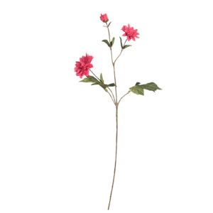 Dahlia | 70 cm | hard roze | tak met meerdere bloemen en knoppen