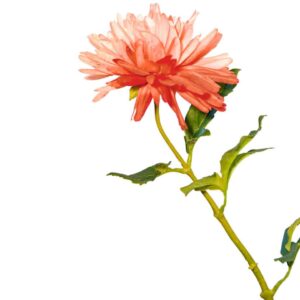 Chrysant | 57 cm | roze