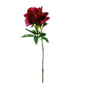 Pioenroos | 56 cm | roze rood
