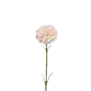 Anjer |  43 cm | zalm creme roze