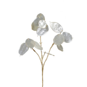 Judaspenning | 67 cm | creme | grote penning