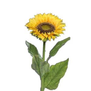 Zonnebloem | 78 cm | geel bruin