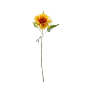 Zonnebloem  |  78 cm | geel