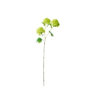 Sneeuwbal | 80 cm | creme groen