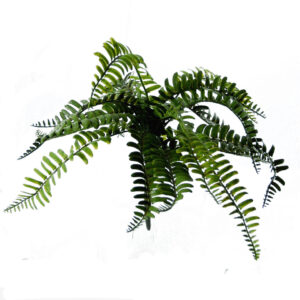 Varen | rafelig | green | 36 cm