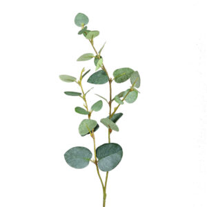 Eucalyptus | 48 cm | groen