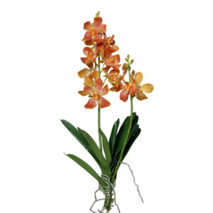 Orchidee Vanda | 63 cm | oranje