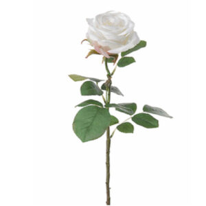 Roos | 68 cm | wit