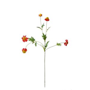Zonnehoed | 76 cm | rood
