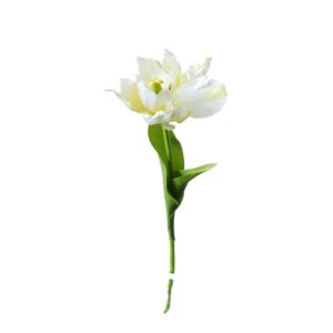 Tulp | 38 cm | wit