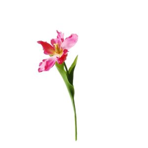Tulp | 38 cm | donker roze