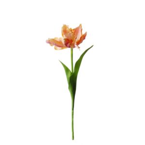 Tulp | 38 cm | zalm