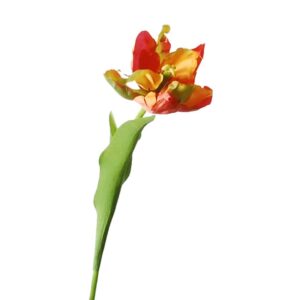 Tulp | 38 cm | oranje