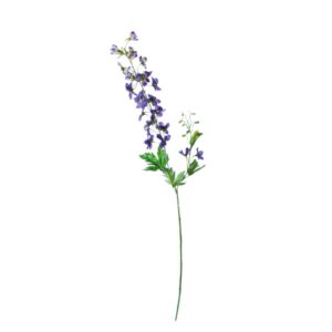 Delphinium | Ridderspoor |  80 cm | paars