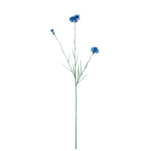 Korenbloem | 62 cm | donkerblauw